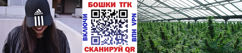 Купить наркотики сайты Балахна Alpha-PVP  Меф мяу мяу  Гашиш  Конопля 