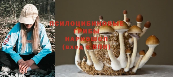 гидропоника Баксан