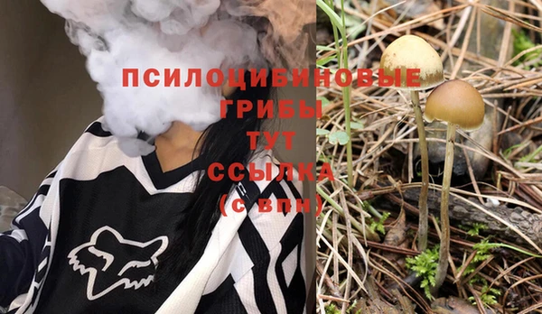 мескалин Балахна
