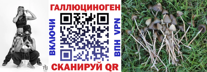 купить наркоту  Балахна  Псилоцибиновые грибы ЛСД 